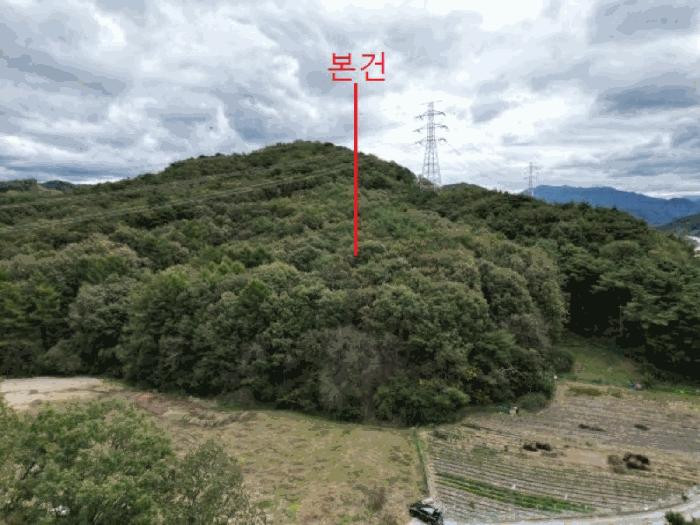 충북 제천시 봉양읍 장평리 산145-1 임야 사진 5