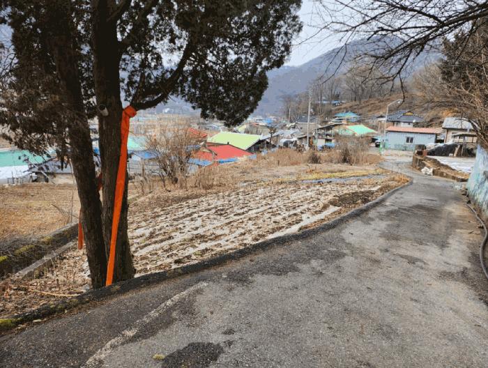 충청북도 제천시 덕산면 신현리 621 법원경매 물건 대표사진