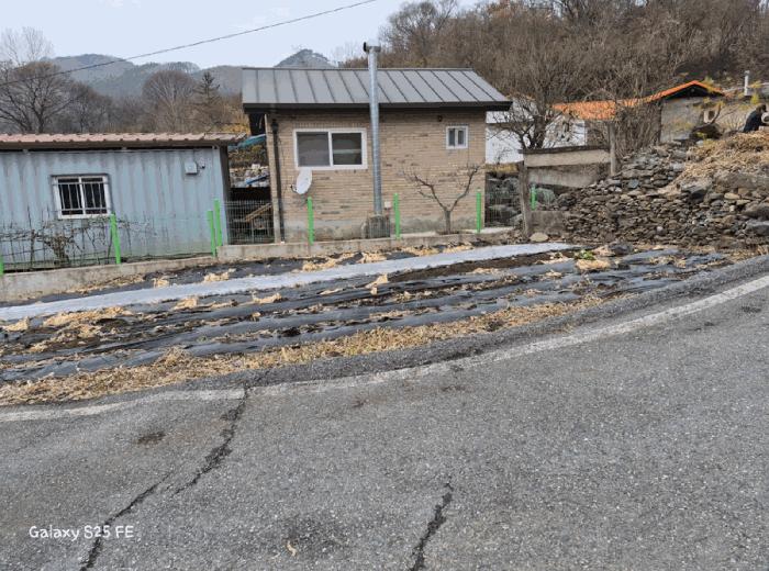 법원경매 2025타경5482 사진11 | 제천시 덕산면 신현리 621 대지 경매