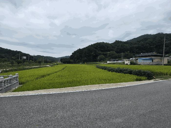 2025타경30245 법원경매 사진2 | 전북 남원시 임야 경매
