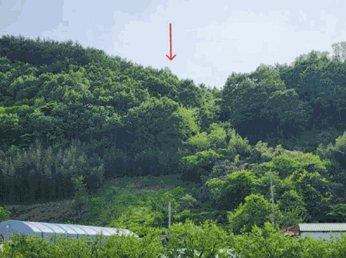 경남 하동군 하동읍 신기리 103-119 답 경매 물건 사진
