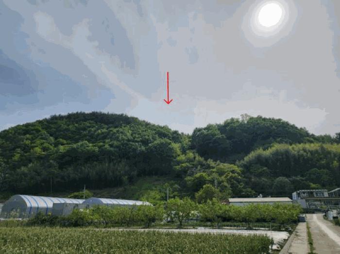 경남 하동군 하동읍 신기리 103-119 답 사진 3