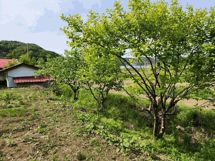 경남 하동군 하동읍 신기리 103-119 답 사진 5