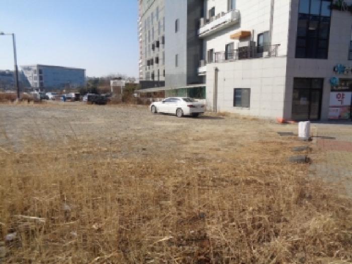 법원경매 2026타경53 사진9 | 전주시 덕진구 송천동2가 1333-2 대지 경매