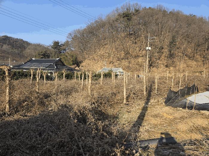 전북 완주군 소양면 황운리 290-1 답 사진 3