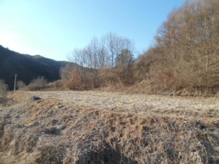 법원경매 2026타경30109 사진6 | 진안군 백운면 노촌리 328 답 경매