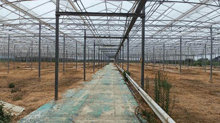2025타경854 법원경매 사진5 | 전주 덕진구 전답 경매