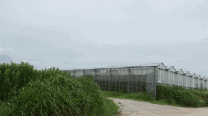 2025타경854 법원경매 사진7 | 전주 덕진구 전답 경매