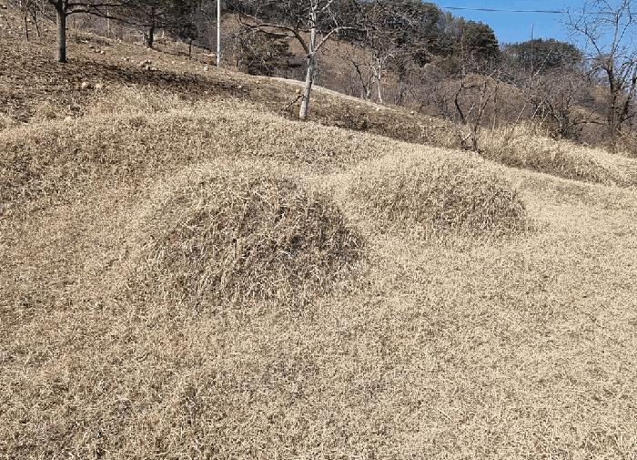 경상남도 산청군 삼장면 대포리 203 법원경매 물건 대표사진