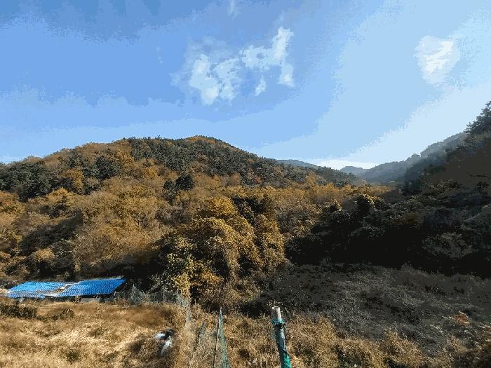 법원경매 2025타경654 사진7 | 거제시 연초면 주택건물 경매