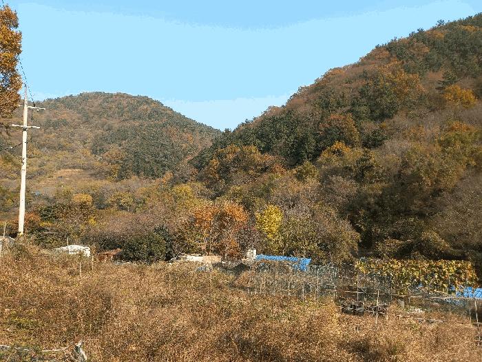 2025타경654 법원경매 사진8 | 경남 거제시 전 경매