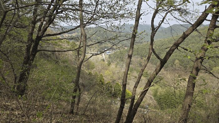경남 진주시 명석면 오미리 산283-4 임야 사진 2