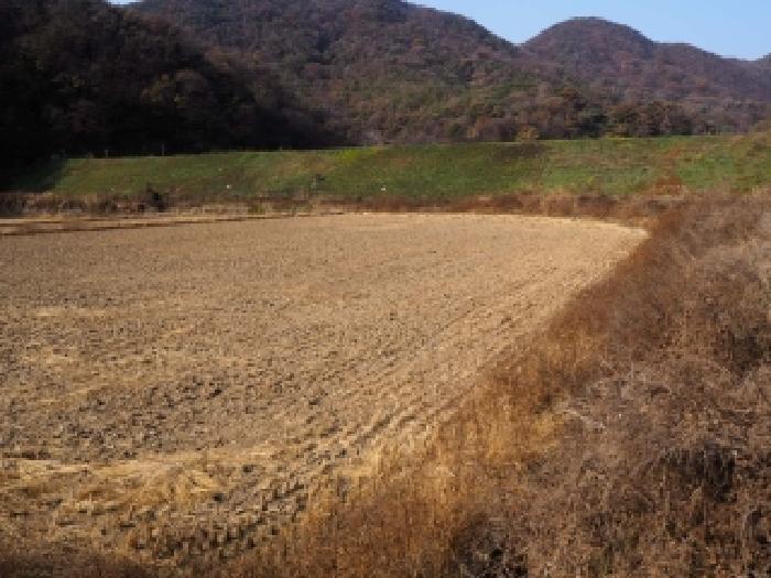 2025타경10569 법원경매 사진10 | 경남 밀양시 답 경매