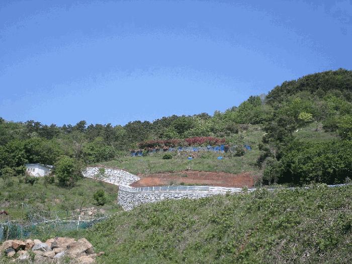 경남 거제시 연초면 오비리 677-8 답 경매 물건 사진