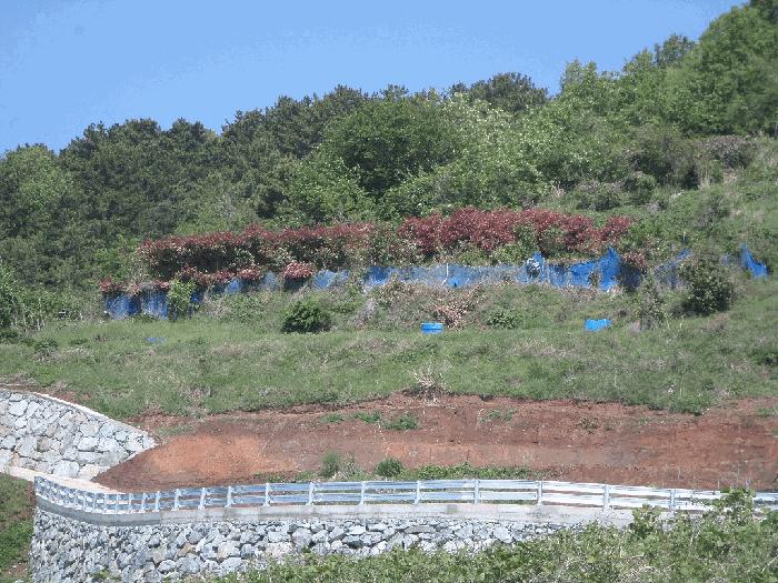경남 거제시 연초면 오비리 677-8 답 사진 4