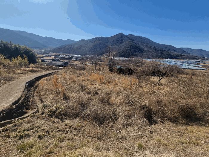 경남 밀양시 단장면 안법리 695 전 사진 3