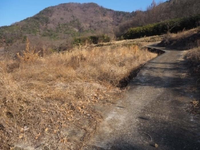 경남 밀양시 단장면 안법리 695 전 사진 5