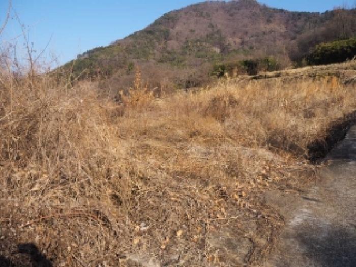 경남 밀양시 단장면 안법리 695 전 사진 6