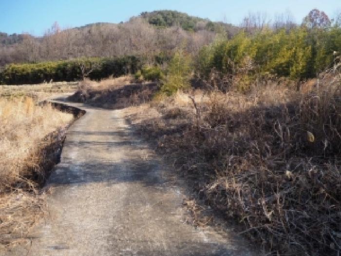 법원경매 2026타경70 사진7 | 밀양시 단장면 안법리 695 전 경매