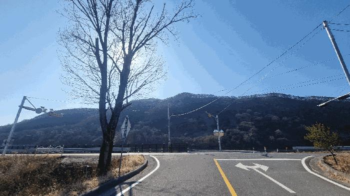 경남 밀양시 활성동 산54-9 임야 경매 물건 사진