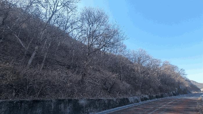 경남 밀양시 활성동 산54-9 임야 사진 2