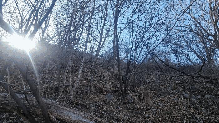 경남 밀양시 활성동 산54-9 임야 사진 3
