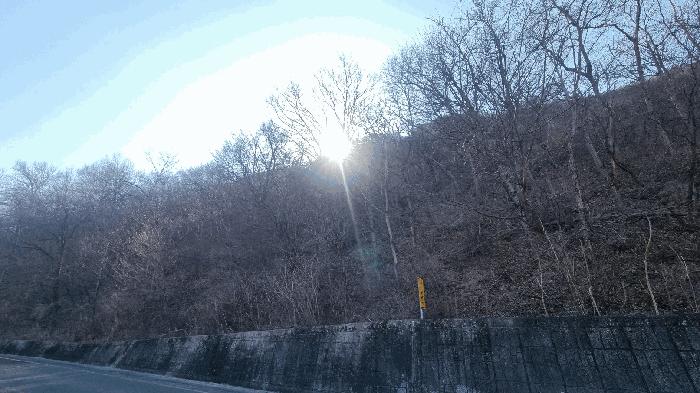 경남 밀양시 활성동 산54-9 임야 사진 5