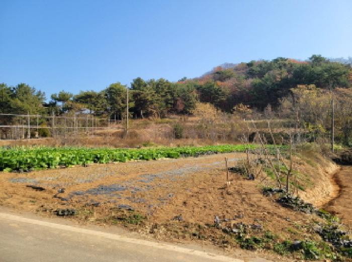 2025타경52132 법원경매 사진11 | 전남 고흥군 전 경매