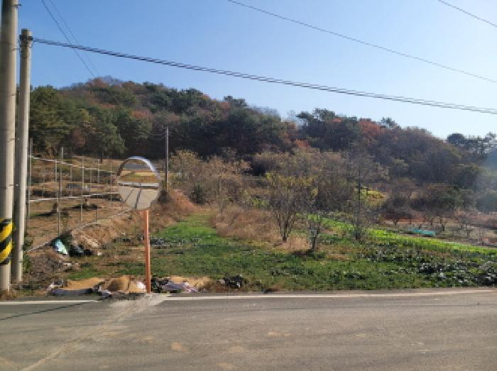 2025타경52132 법원경매 사진12 | 전남 고흥군 전 경매