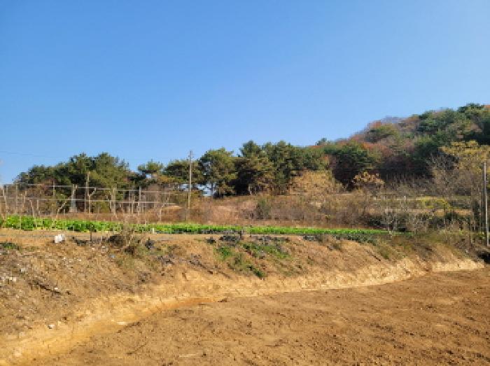 2025타경52132 법원경매 사진13 | 전남 고흥군 전 경매