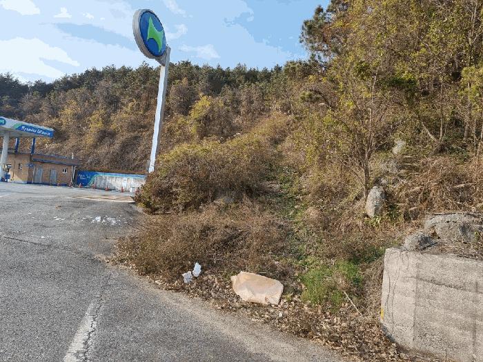 2025타경552 법원경매 사진4 | 소재지 : 기타 경매