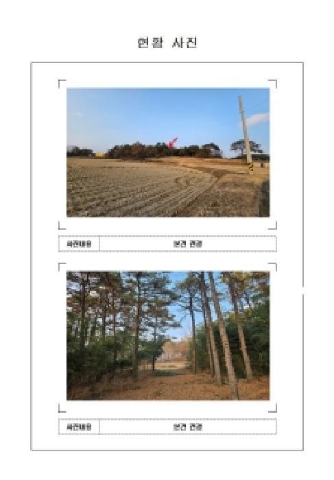 2025타경581 법원경매 사진4 | 전남 영암군 임야 경매
