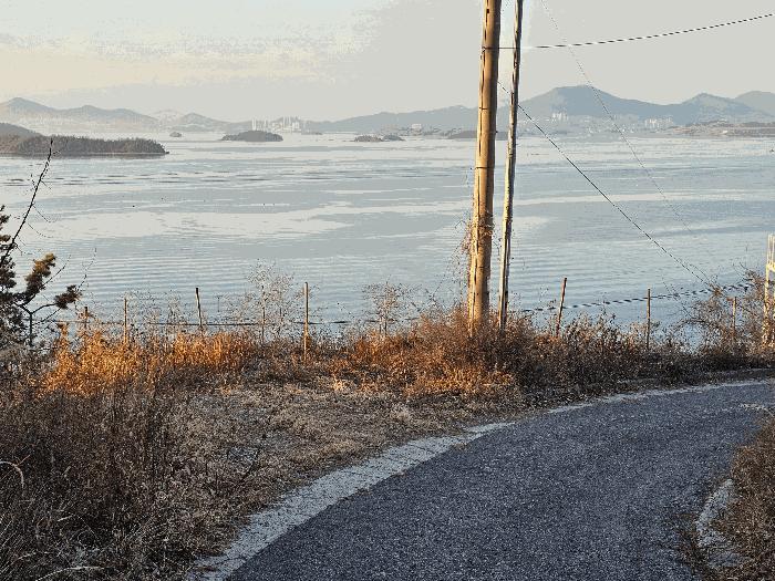 전남 여수시 돌산읍 평사리 1006-16 임야 경매 물건 사진