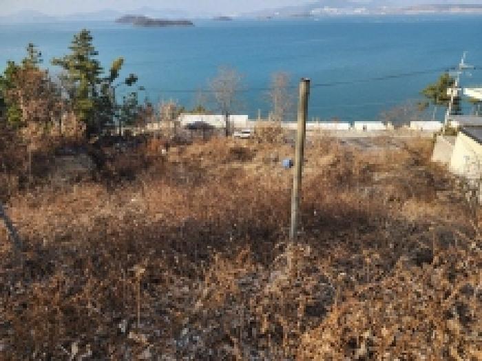 2026타경7 법원경매 사진12 | 전남 여수시 임야 경매