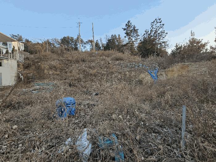 전남 여수시 돌산읍 평사리 1006-16 임야 사진 2
