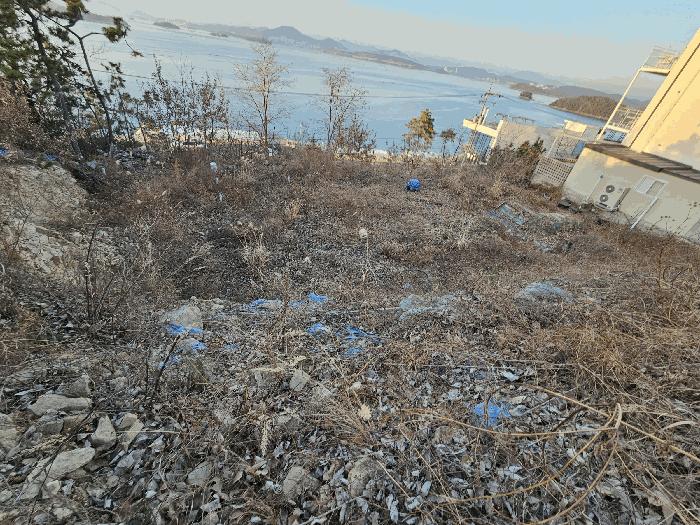 전남 여수시 돌산읍 평사리 1006-16 임야 사진 5