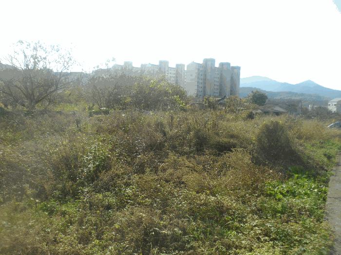 경남 거제시 하청면 하청리 465 답 사진 5