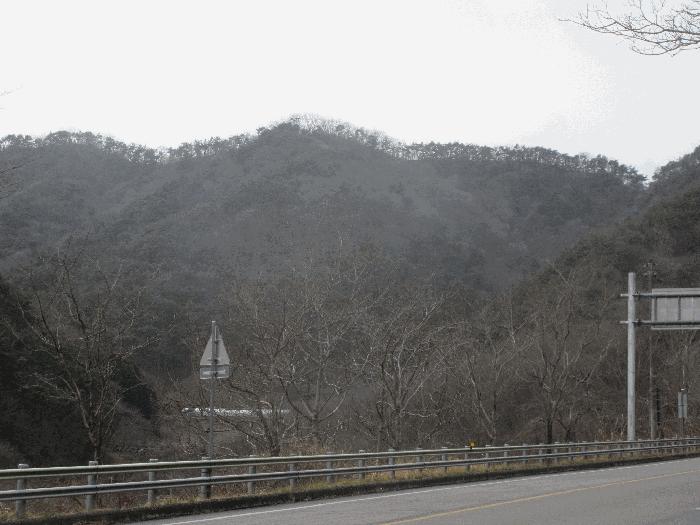 2026타경50035 법원경매 사진2 | 전남 순천시 임야 경매