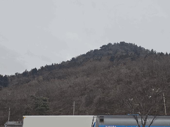 2026타경50186 법원경매 사진2 | 전남 여수시 임야 경매