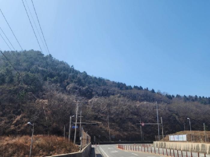 2026타경50186 법원경매 사진6 | 전남 여수시 임야 경매