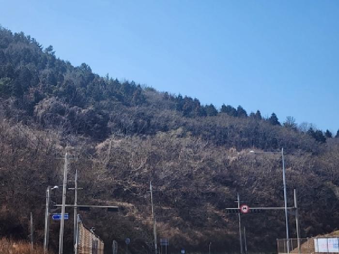 2026타경50186 법원경매 사진7 | 전남 여수시 임야 경매