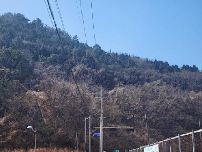 2026타경50186 법원경매 사진9 | 전남 여수시 임야 경매