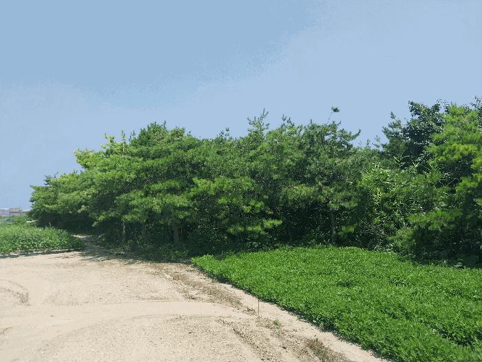 2025타경293 법원경매 사진4 | 전북 부안군 전 경매