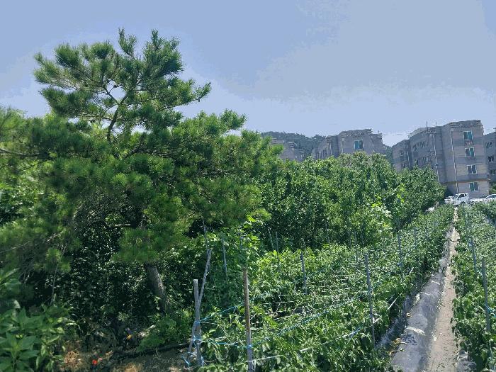 2025타경293 법원경매 사진9 | 전북 부안군 전 경매