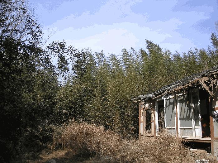 2026타경50209 법원경매 사진4 | 전남 보성군 대지 경매