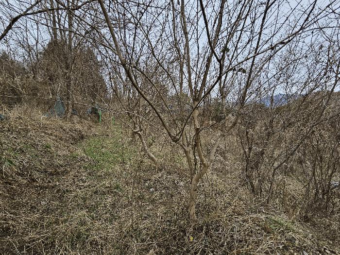 전남 순천시 별량면 마산리 677 전 경매 물건 사진