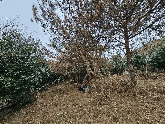 전남 순천시 별량면 마산리 677 전 사진 3