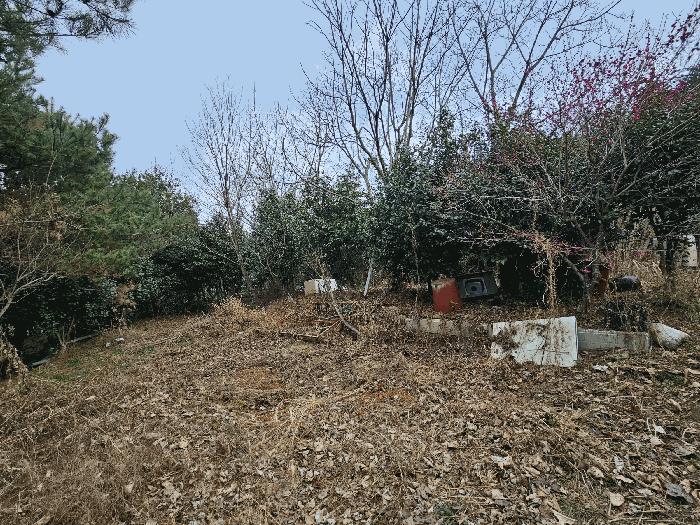 2026타경50225 법원경매 사진9 | 전남 순천시 대지,임야,전답 경매