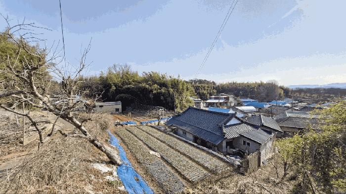 전북 정읍시 신태인읍 신용리 311 대지 사진 2