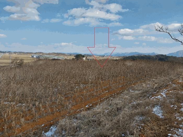 전북 고창군 부안면 수동리 302-4 전 사진 2